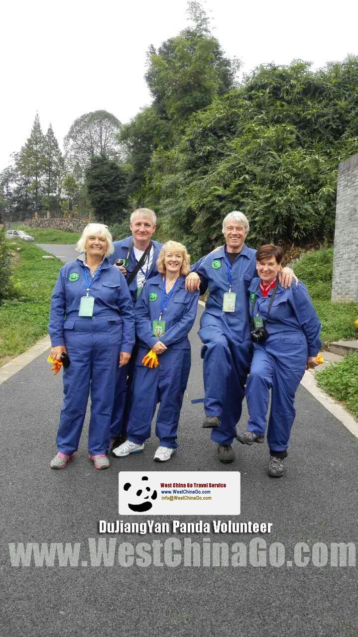 chengdu panda tour, dujiangyan panda volunteer program