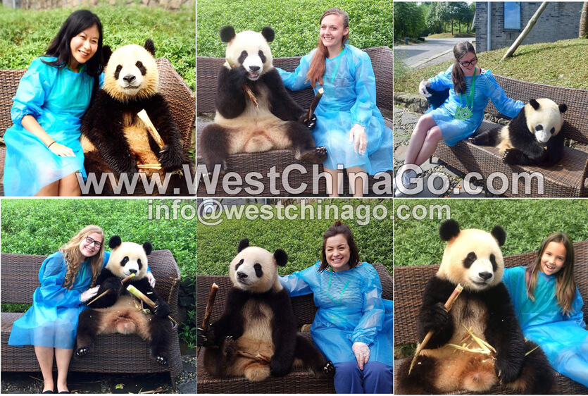 chengdu photo taking with panda holding