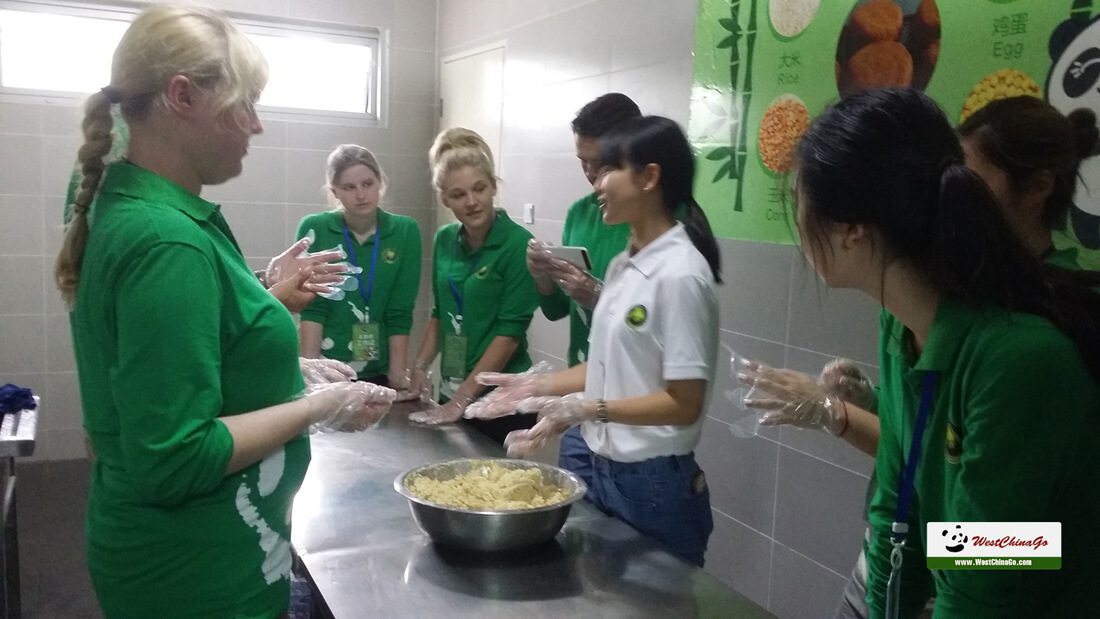 Dujiangyan Panda volunteer Tour