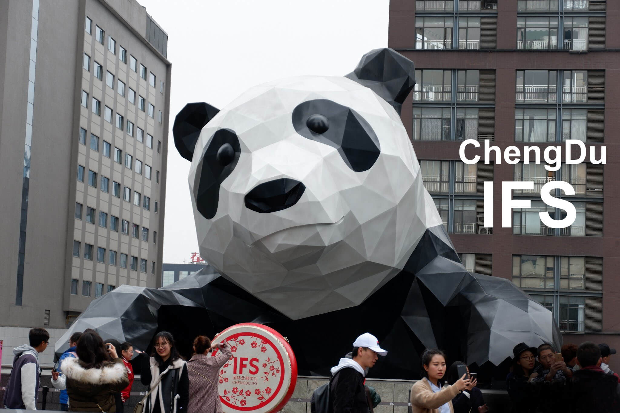 ChengDu Tour things to do China ChengDu Tours, Chengdu Panda