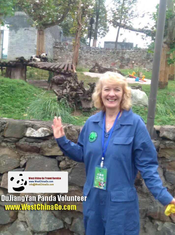 chengdu dujiangyan panda volunteer program