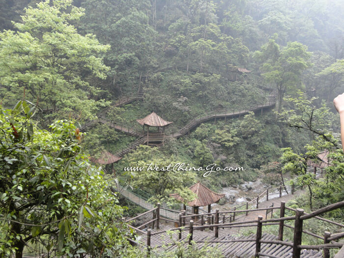 Mount Emei QingYing Pavilion