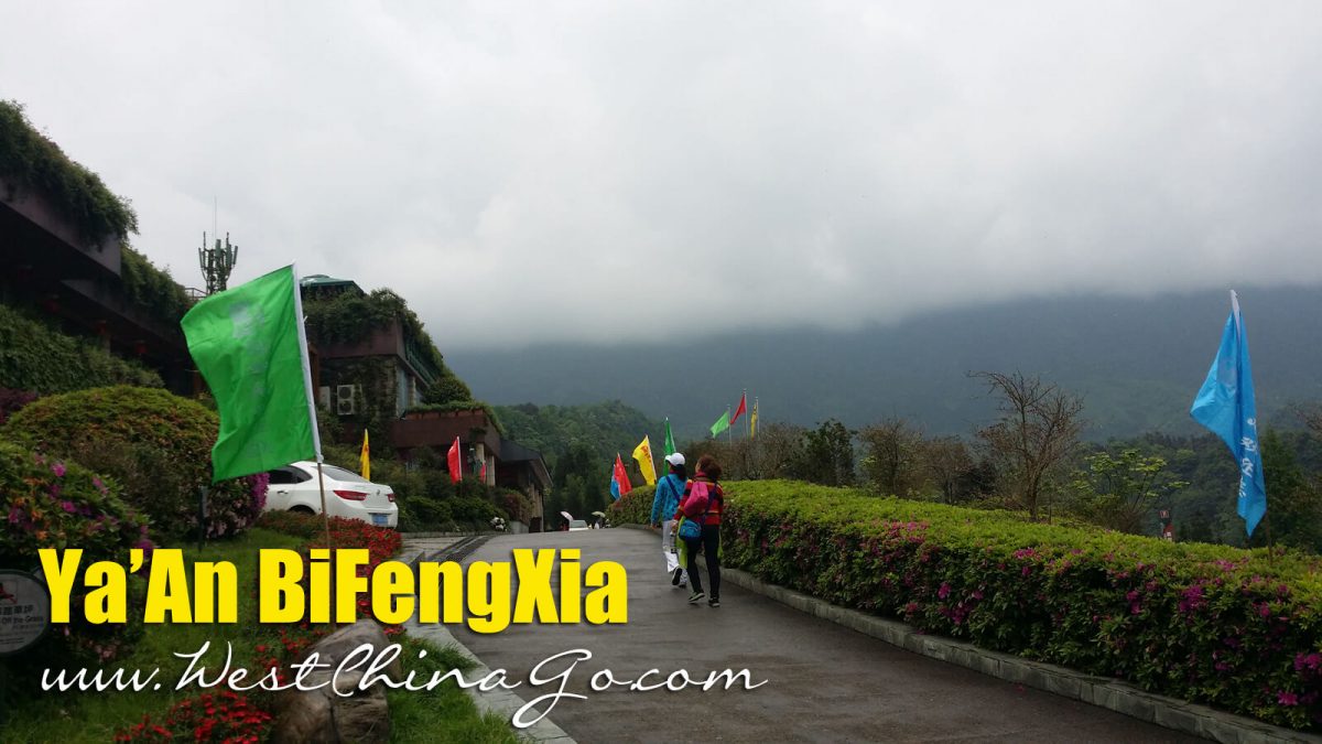 yaan bifengxia