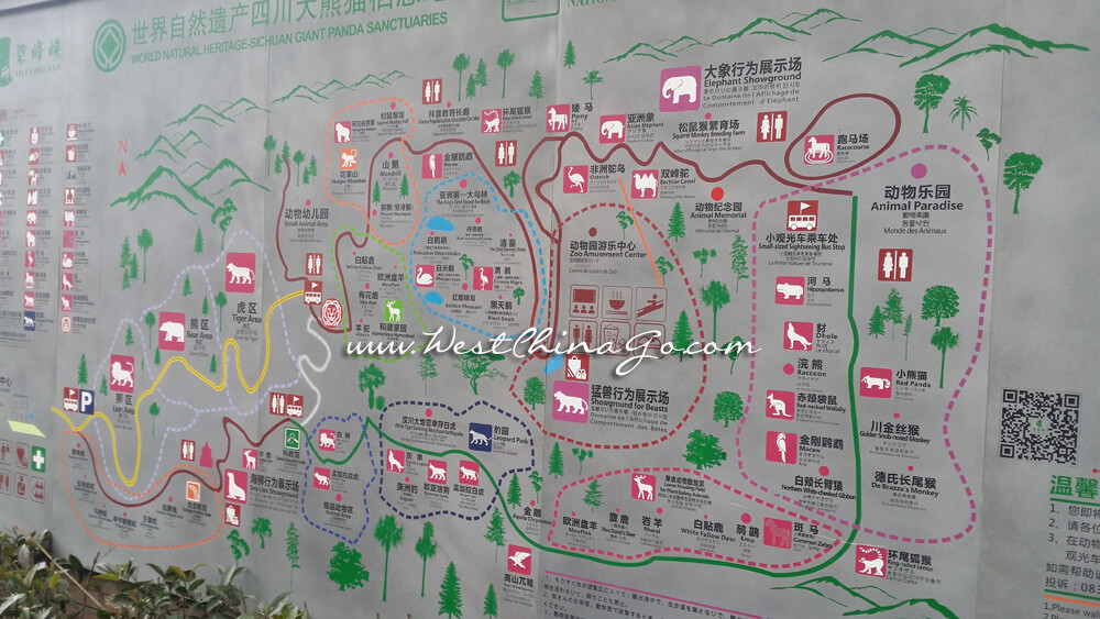 Ya’An Bifengxia Wild Life Park