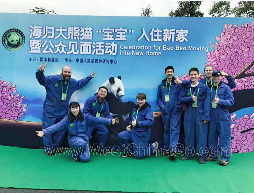 China Panda Volunteer