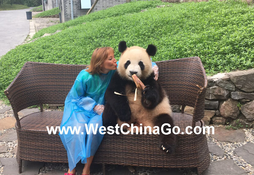 dujiangyan panda holding,hug