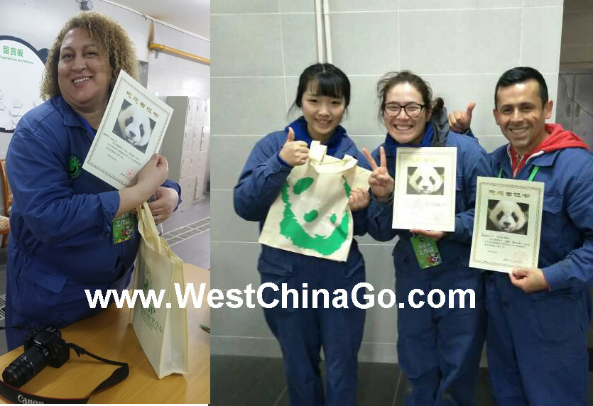 dujiangyan panda volunteer