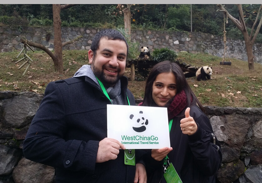 dujiangyan panda volunteer