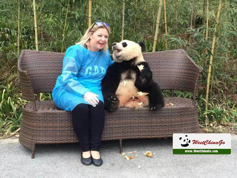 Dujiangyan Panda holding