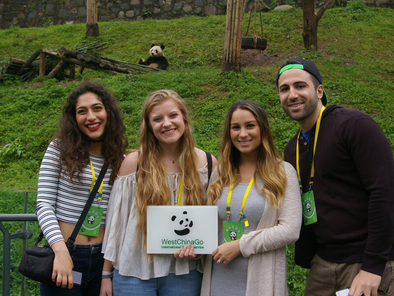 china dujiangyan panda volunteer