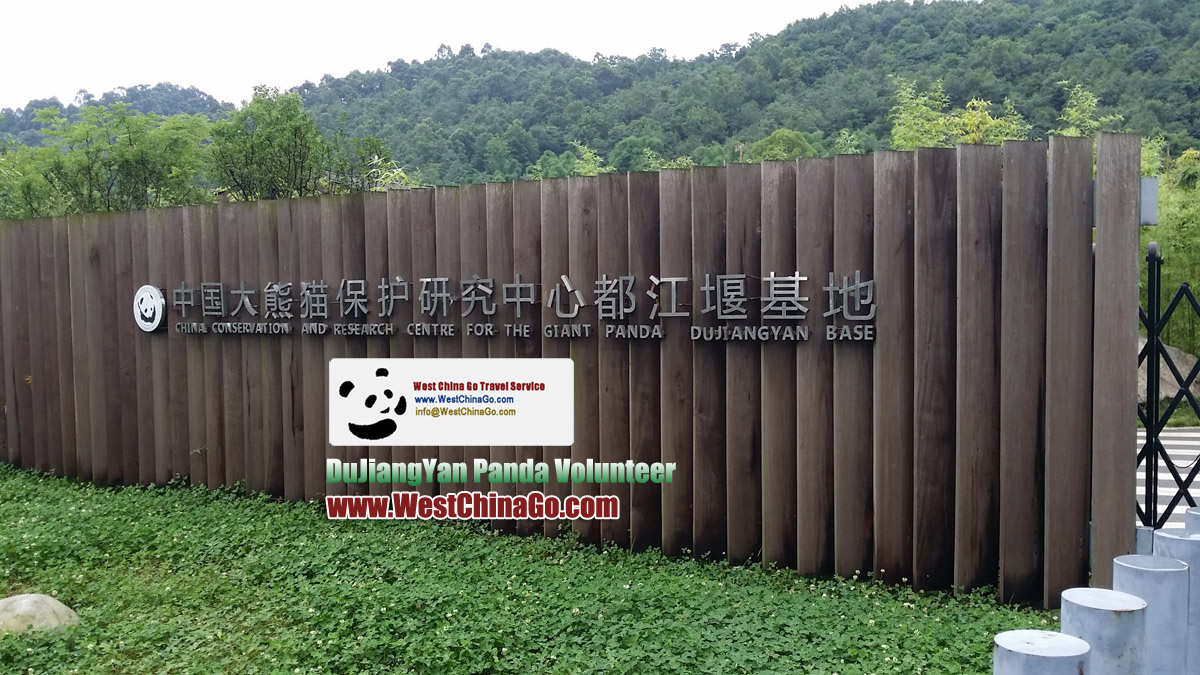 dujiangyan panda base