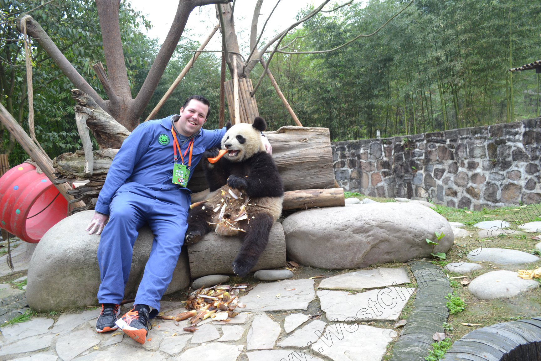 china chengdu photo with panda