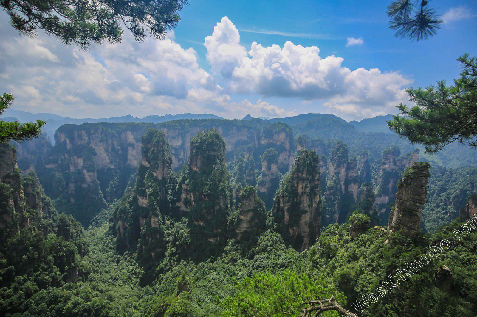 china zhangjiajie tour