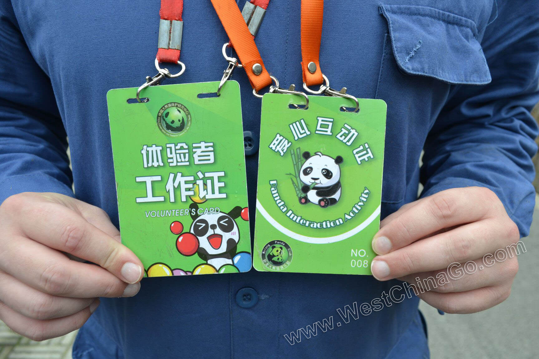 china dujiangyan panda volunteer