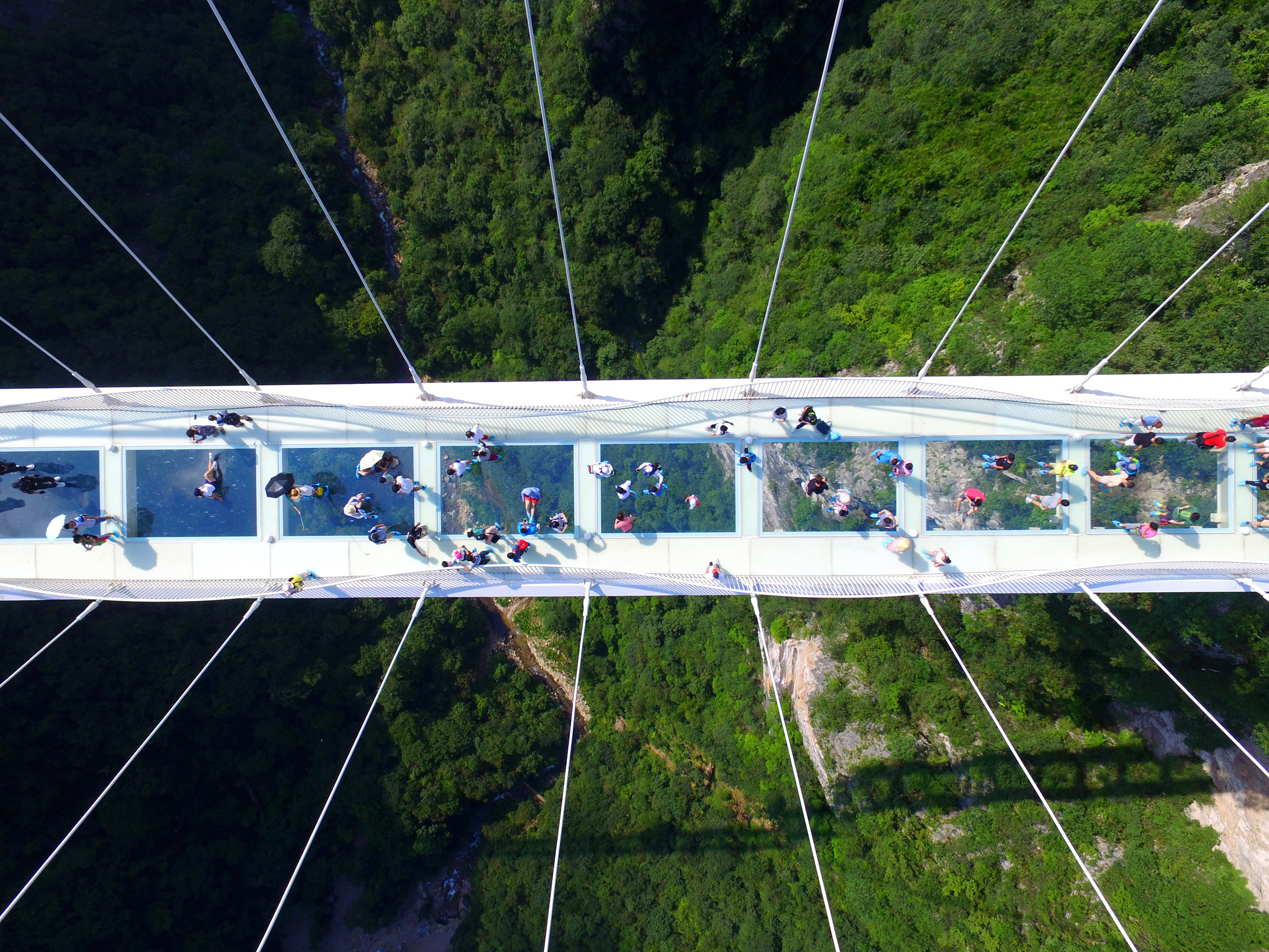 Zhangjiajie Grand Canyon Glass Bridge