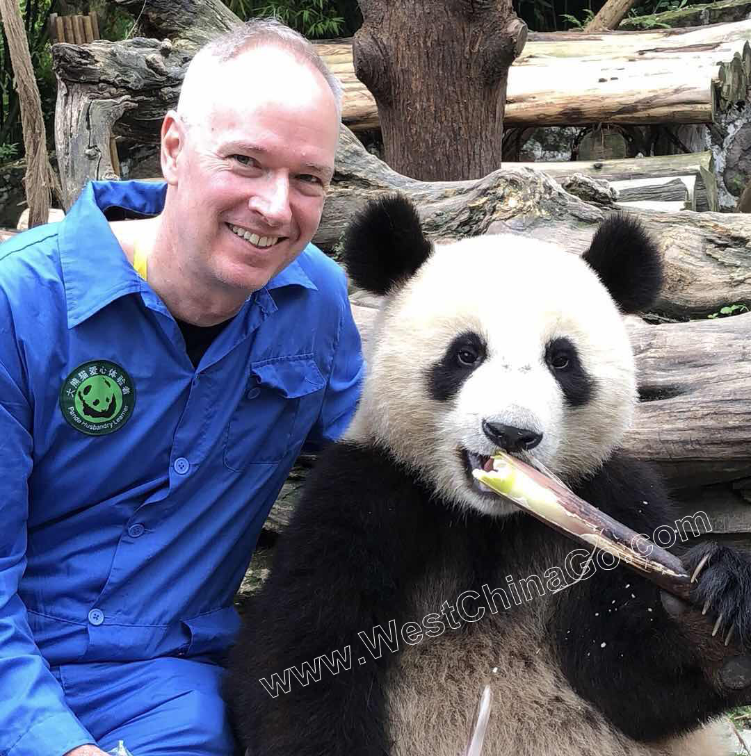 china chengdu panda hug