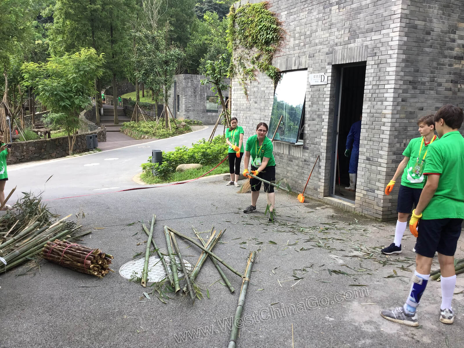 china dujiangyan panda volunteer