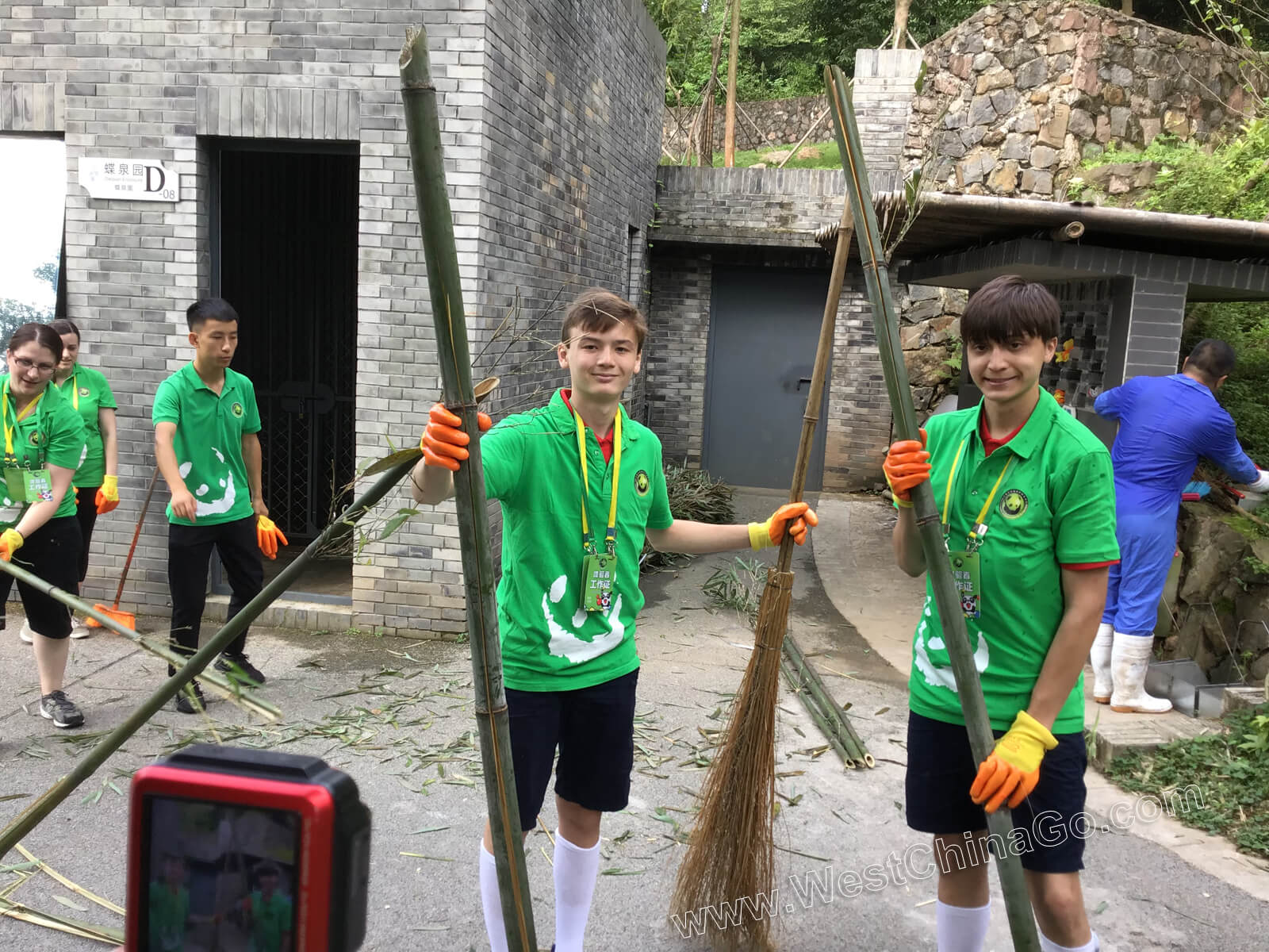 china dujiangyan panda volunteer