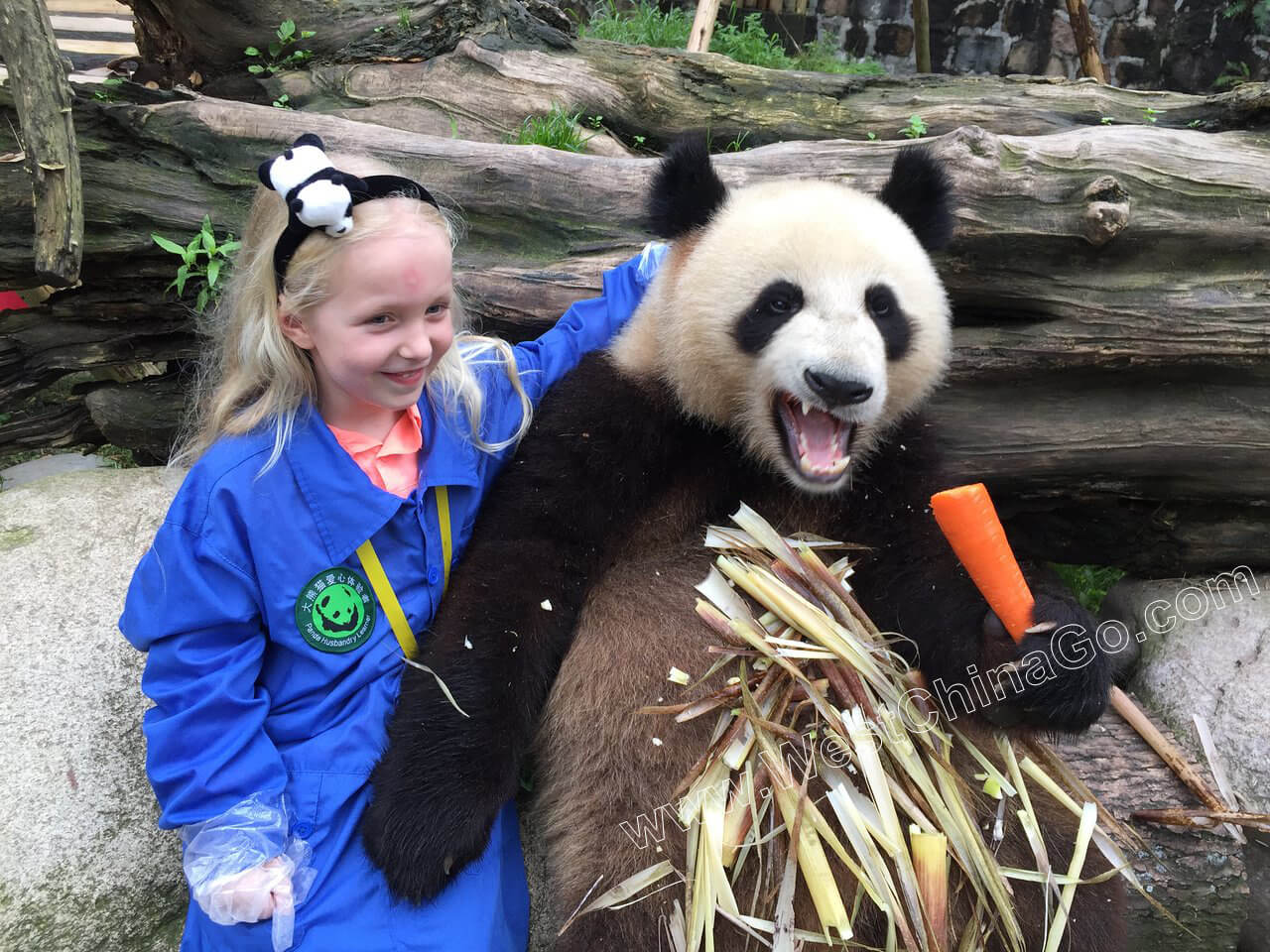 dujiangyan panda holding