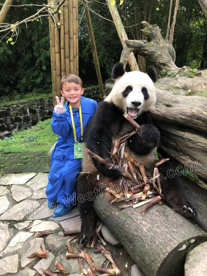 dujiangyan panda holding
