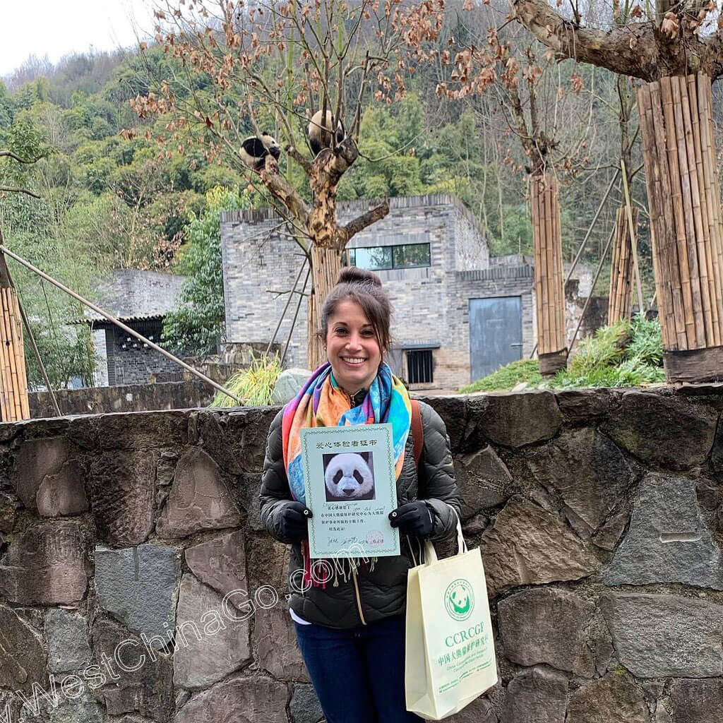 china dujiangyan panda volunteer