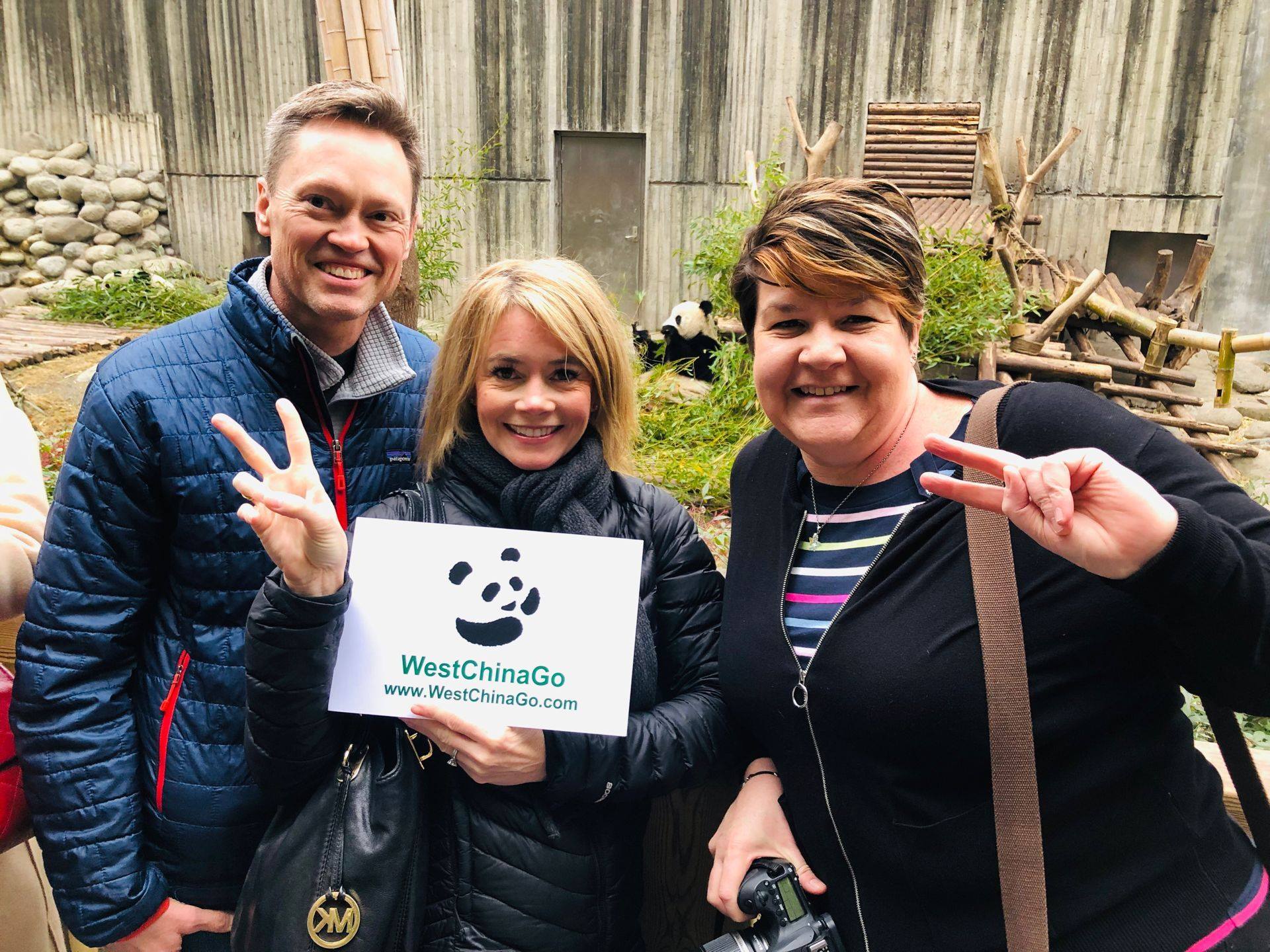 chengdu panda reserve tours