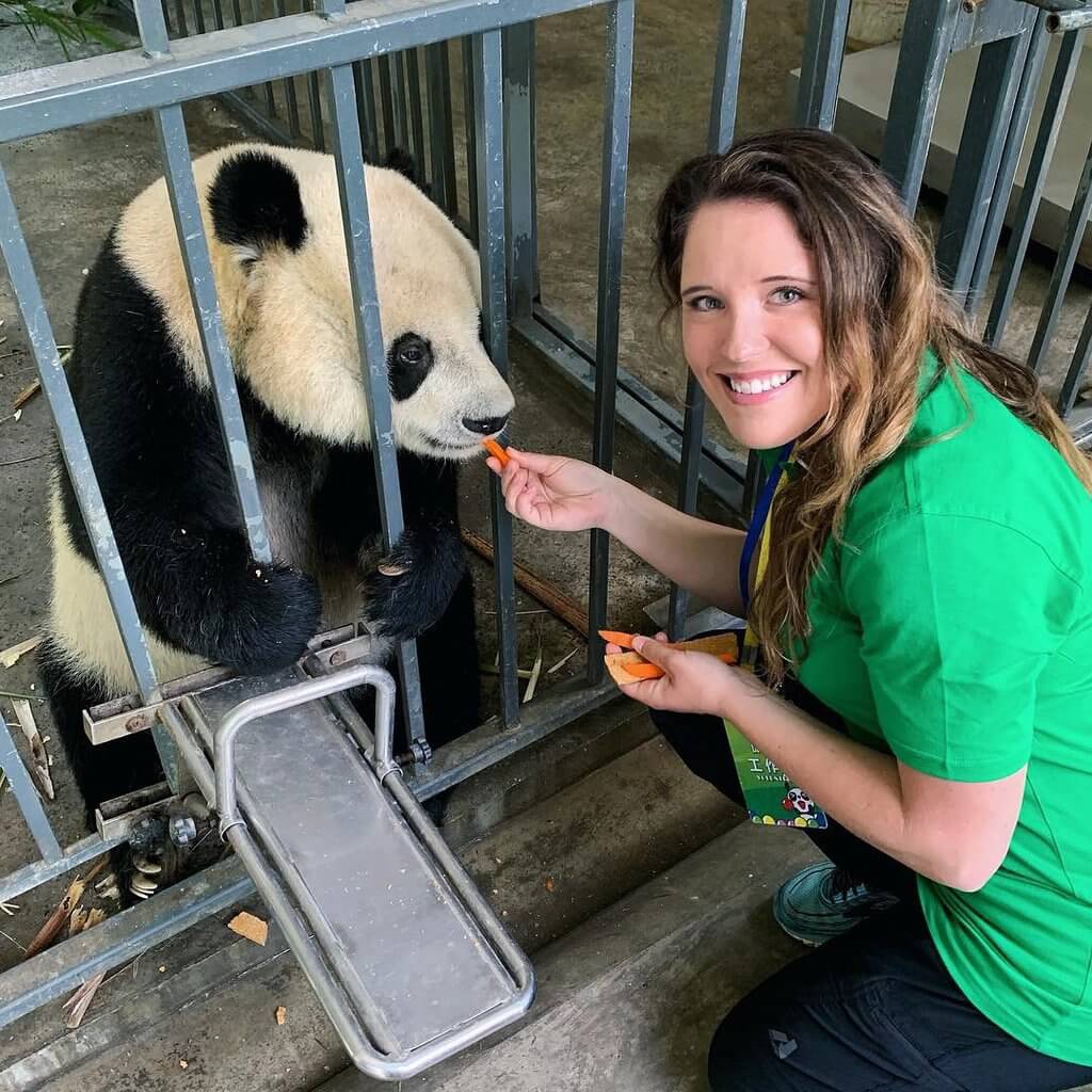 dujiangyan panda volunteer