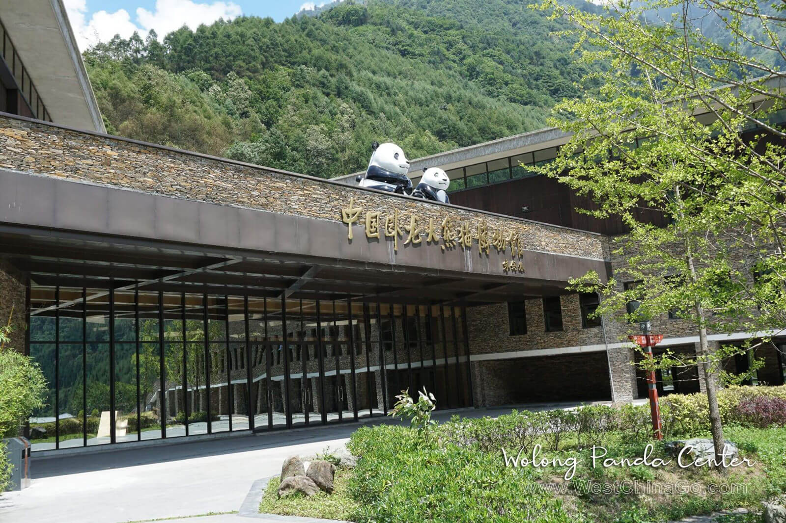 Wolong Panda Center