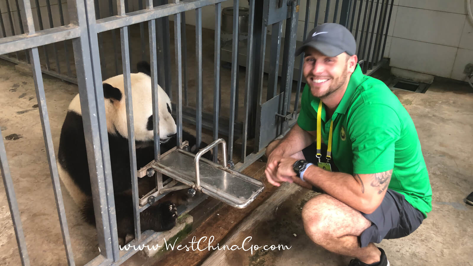 dujiangyan panda volunteer