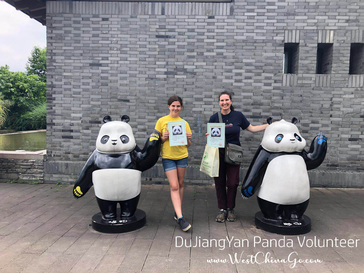 china dujiangyan panda volunteer