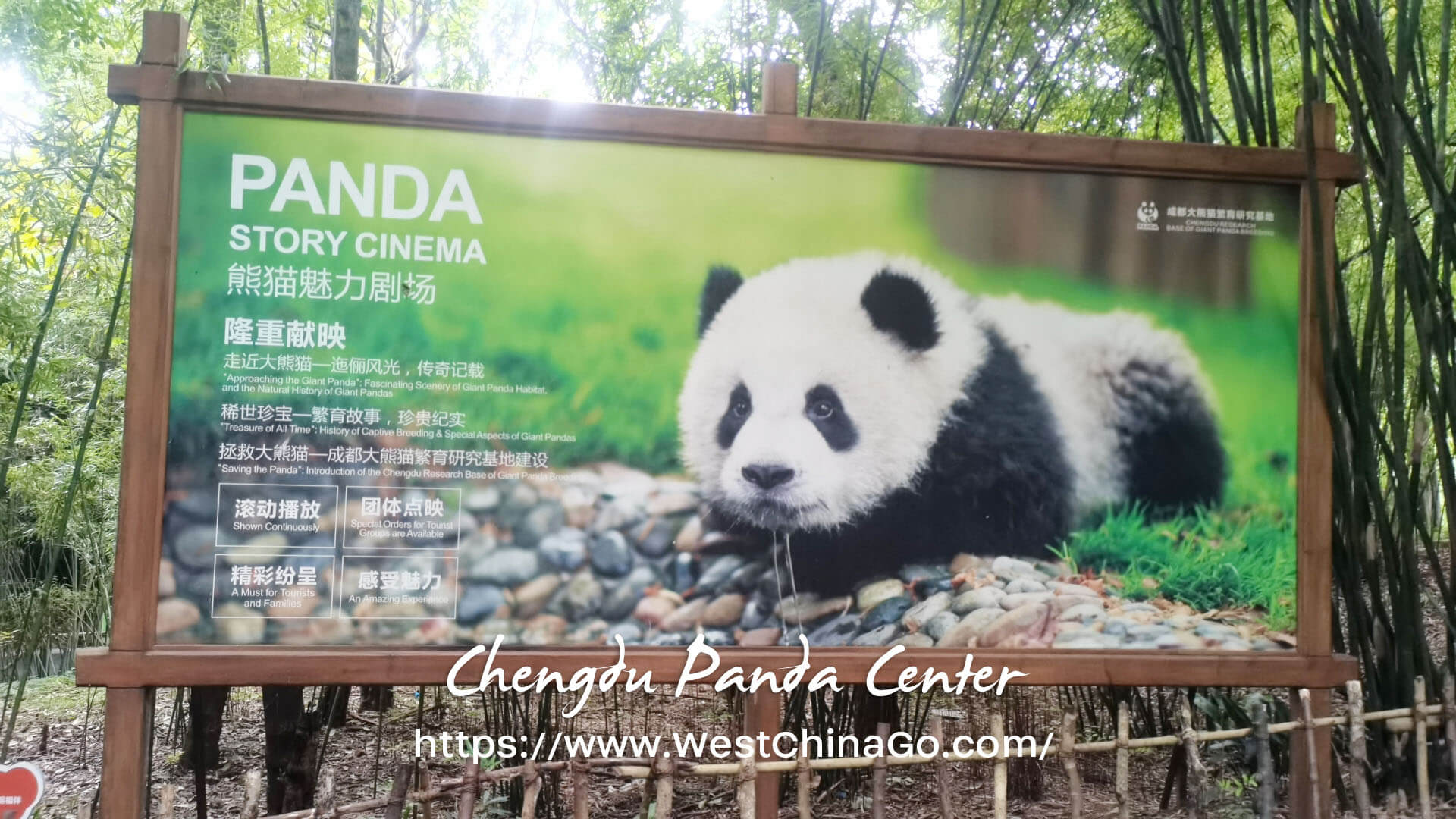 chengdu panda center