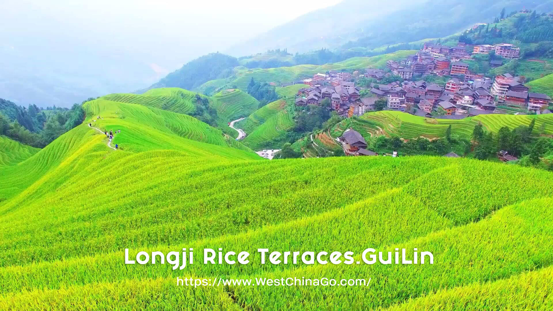 Guilin Longji Rice Terraces