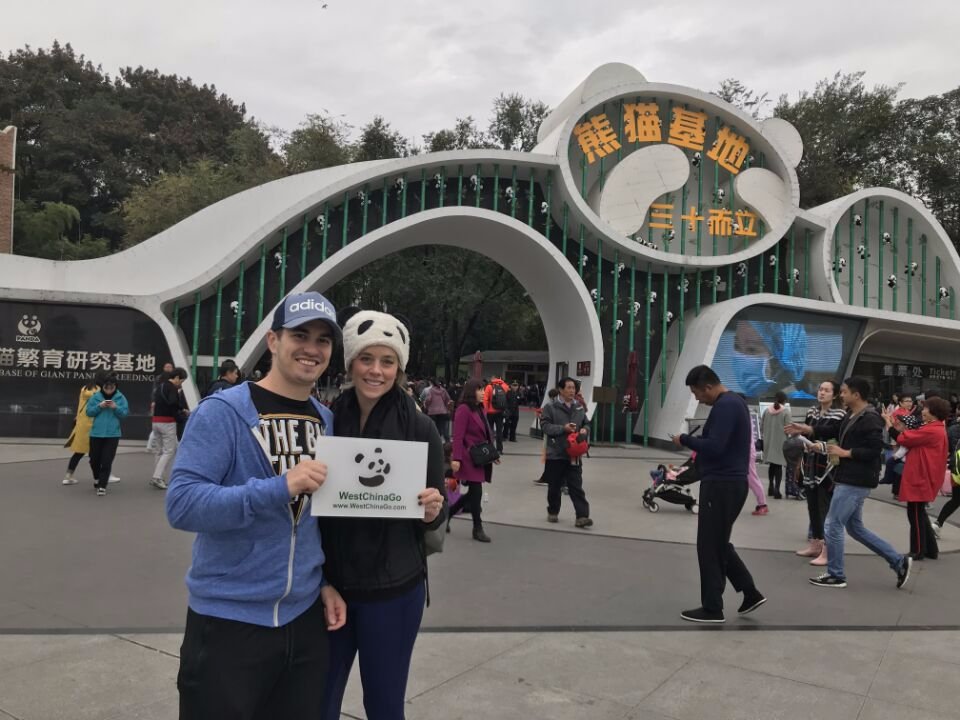 chengdu panda tours