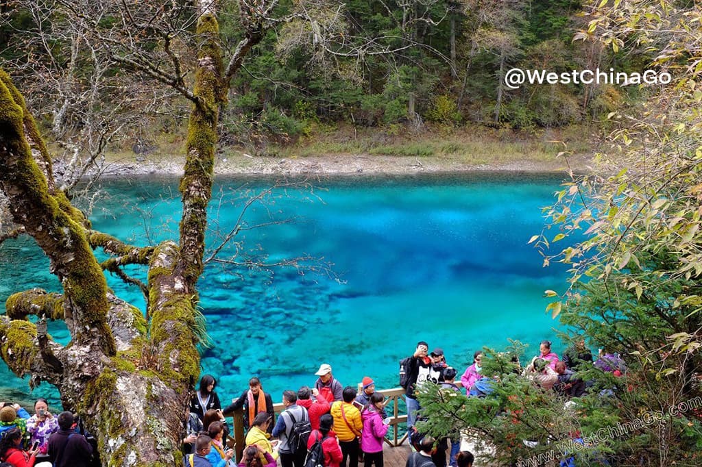 jiuzhaigou