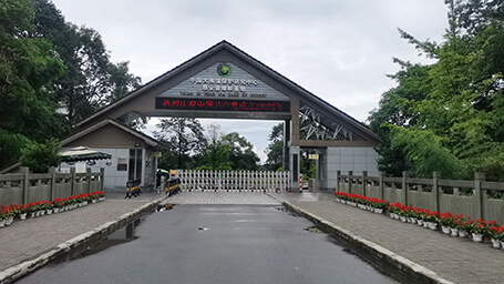 Yaan Bifengxia Panda Center