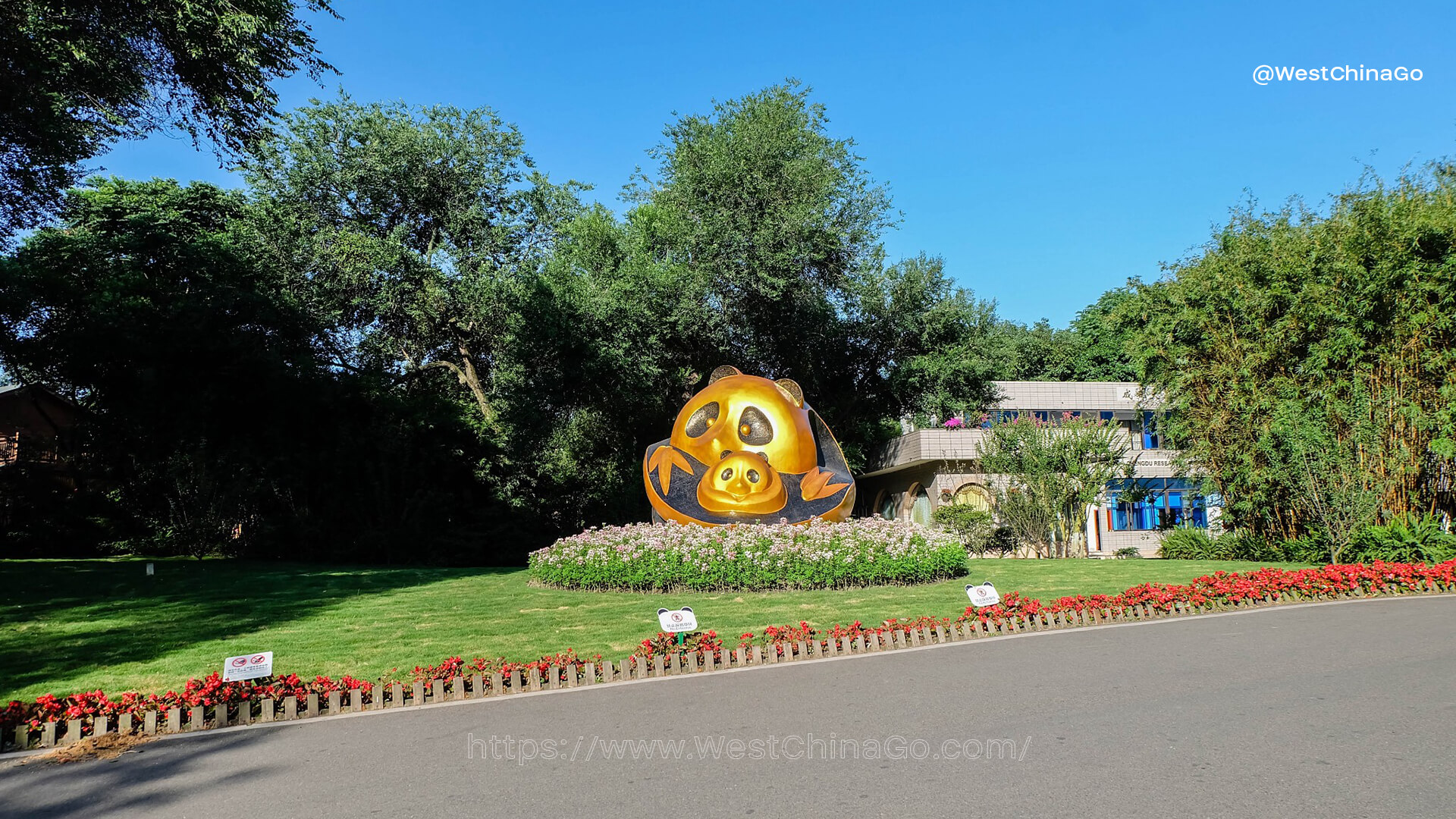 chengdu panda center