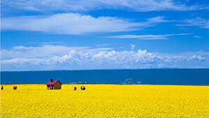 QingHai Lake