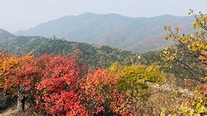 XiangShan Park