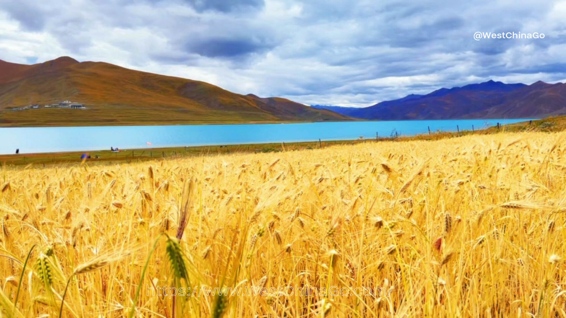 Yamdrok Lake,Tibet