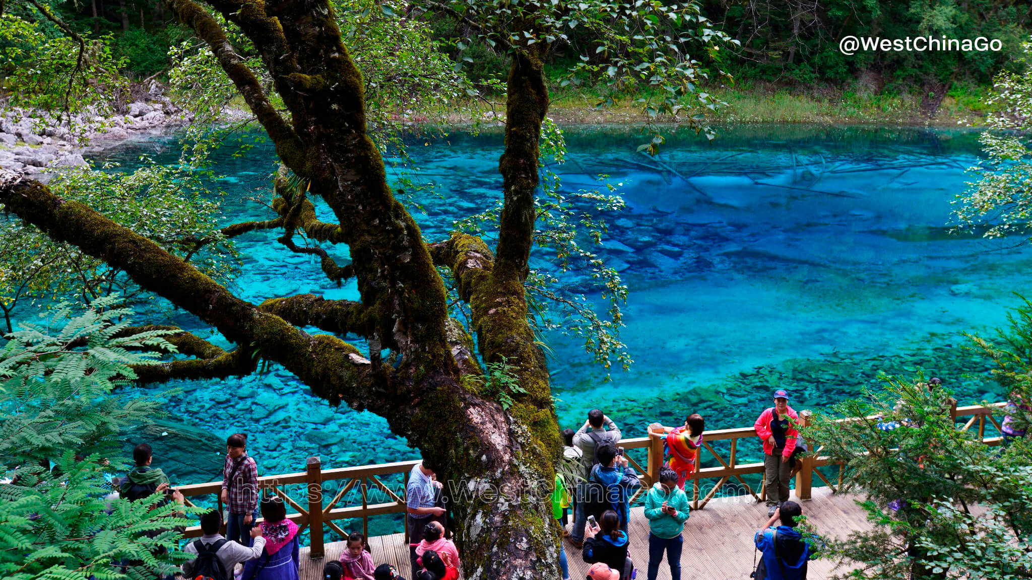 jiuzhaigou