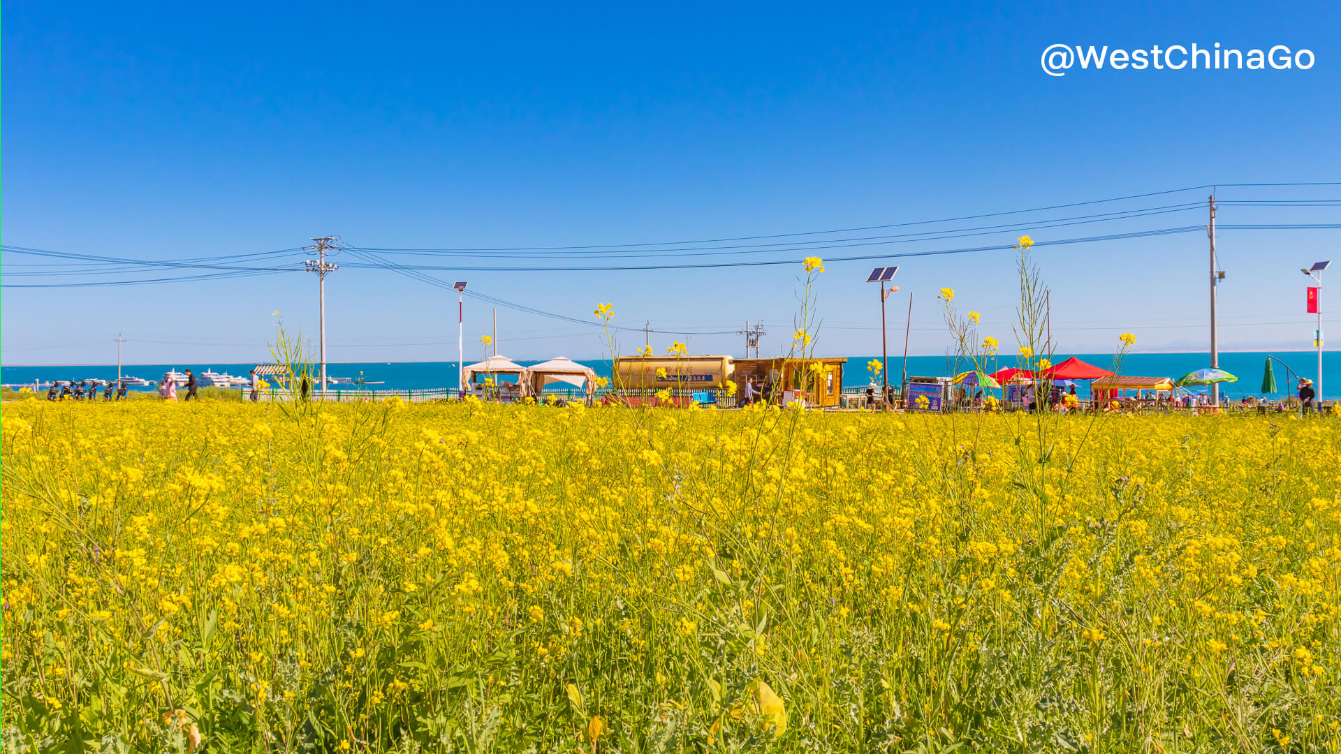 qinghai lake