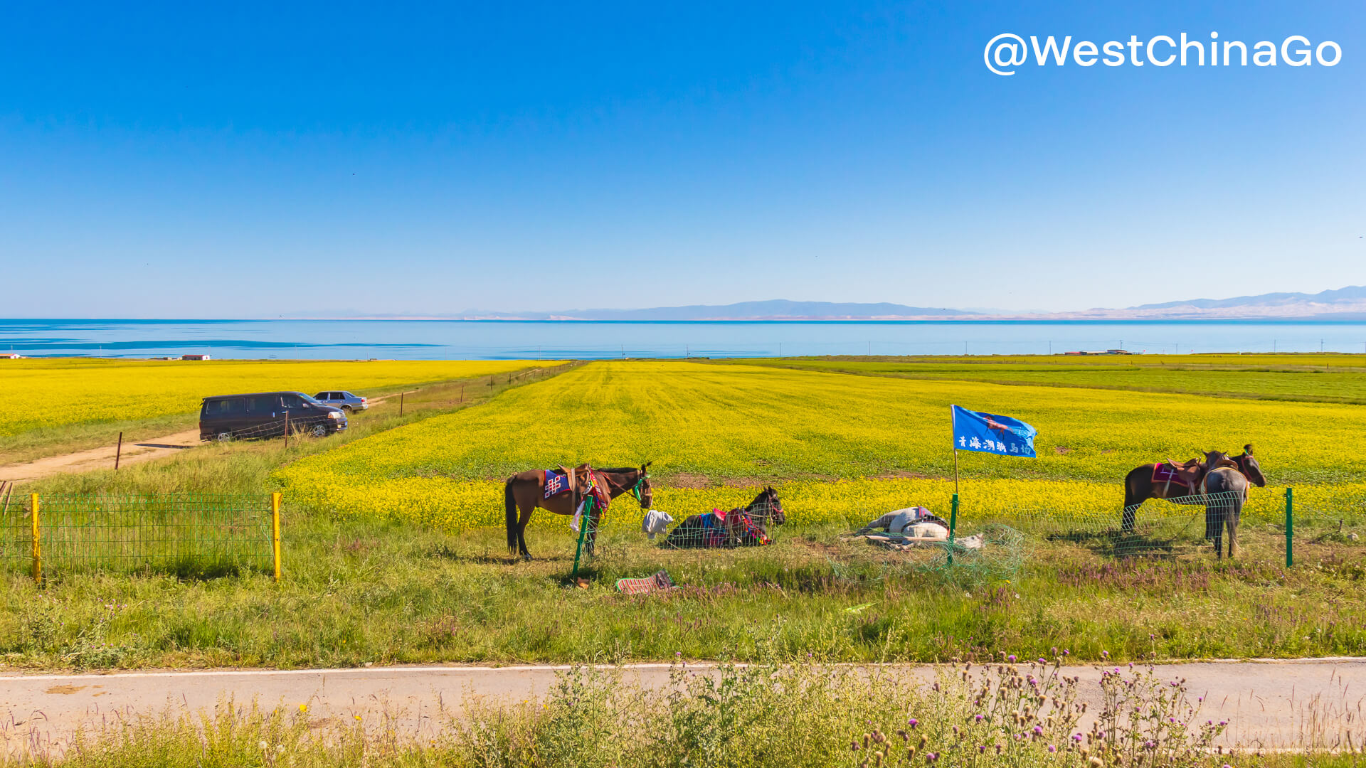 qinghai lake