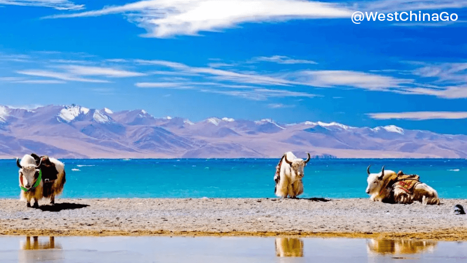 Namtso Lake.Tibet