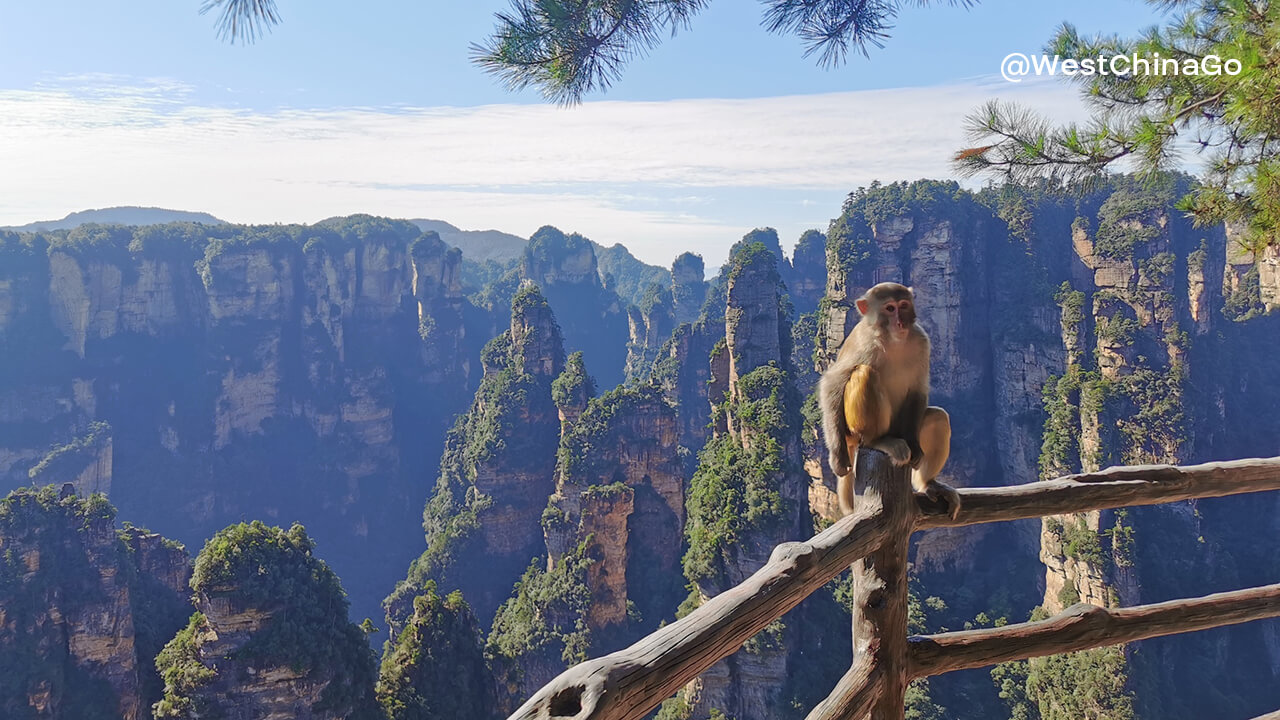 Zhangjiajie National Forest Park