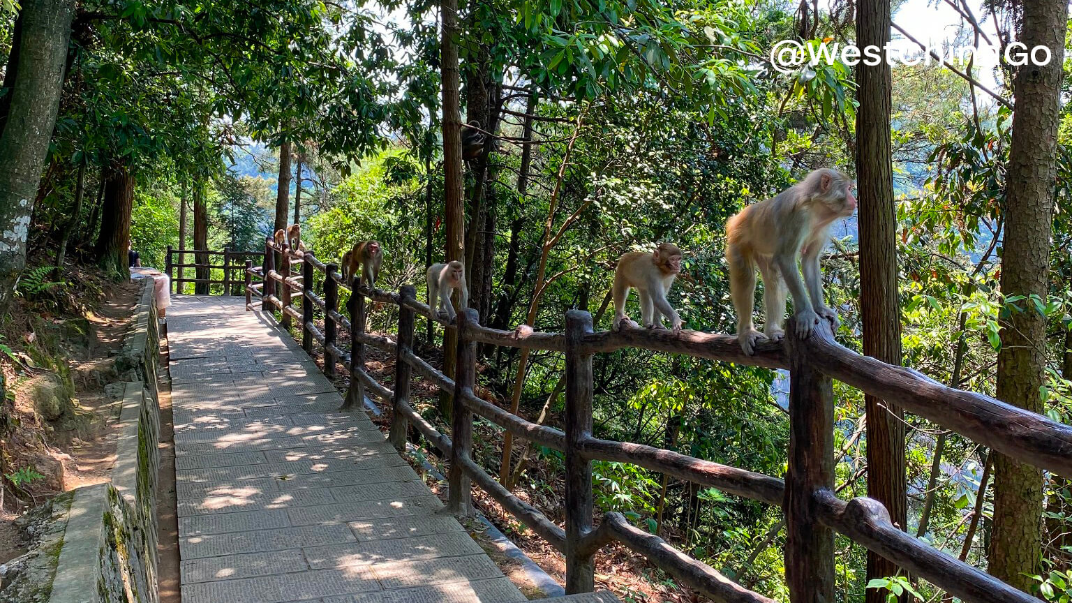 Zhangjiajie National Forest Park