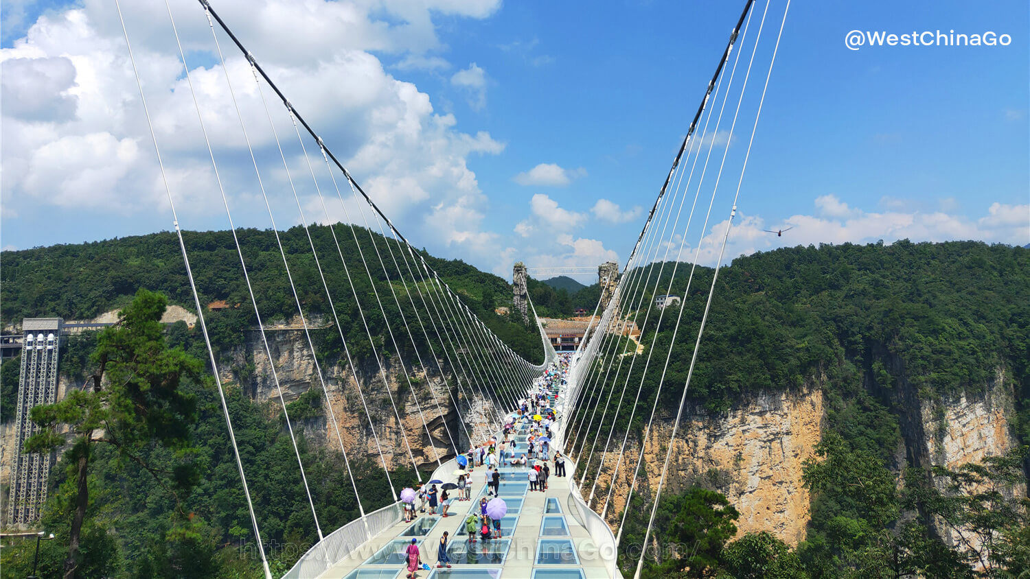 Zhangjiajie Grand Canyon Glass Bridge