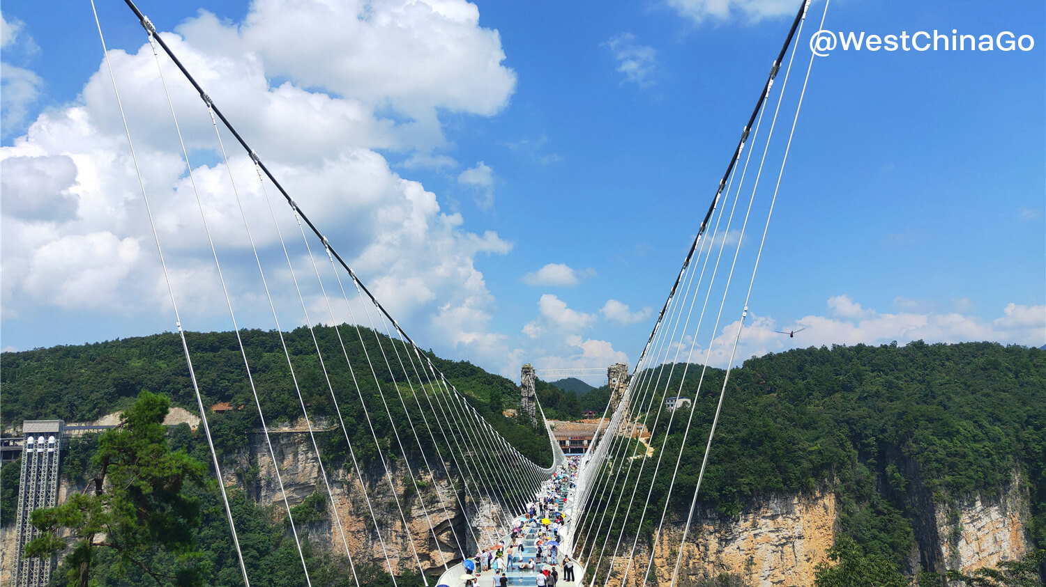 Zhangjiajie Grand Canyon Glass Bridge