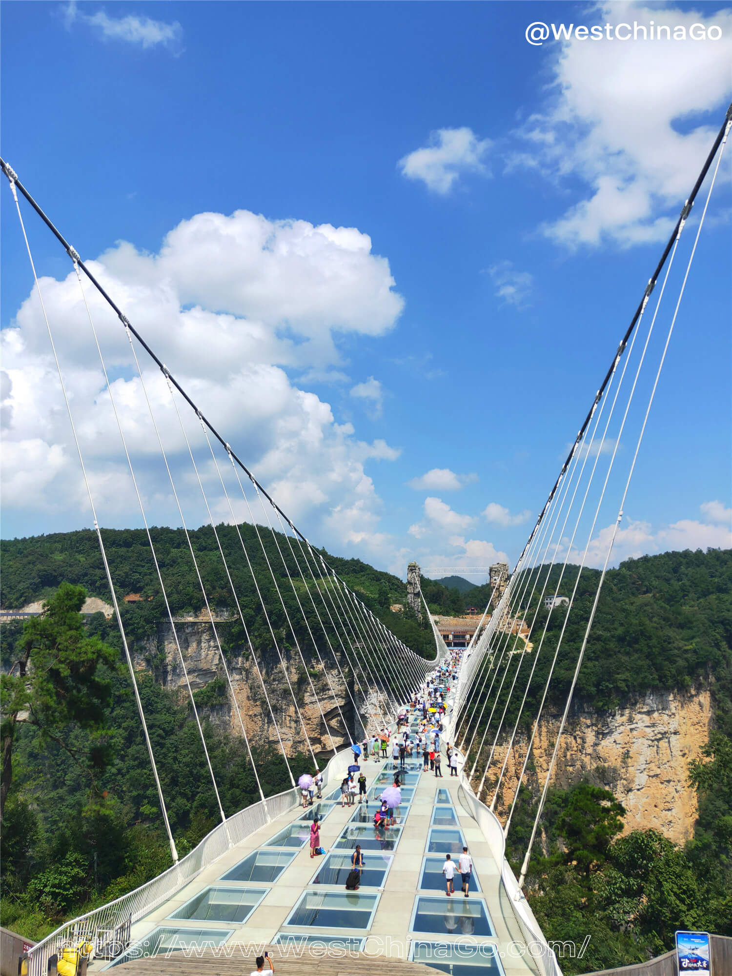 Zhangjiajie Grand Canyon Glass Bridge