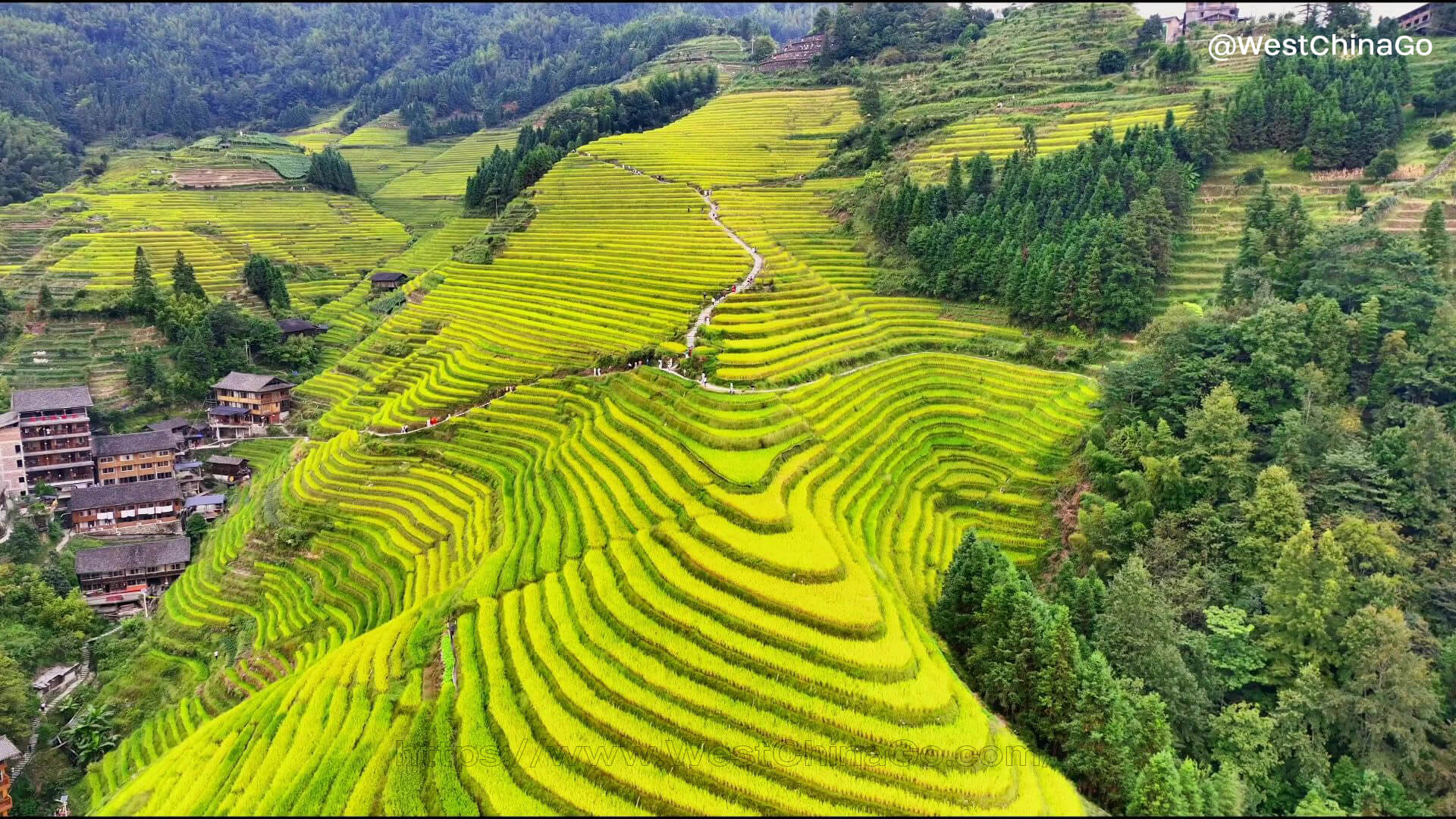 Guilin Longji Rice Terraces