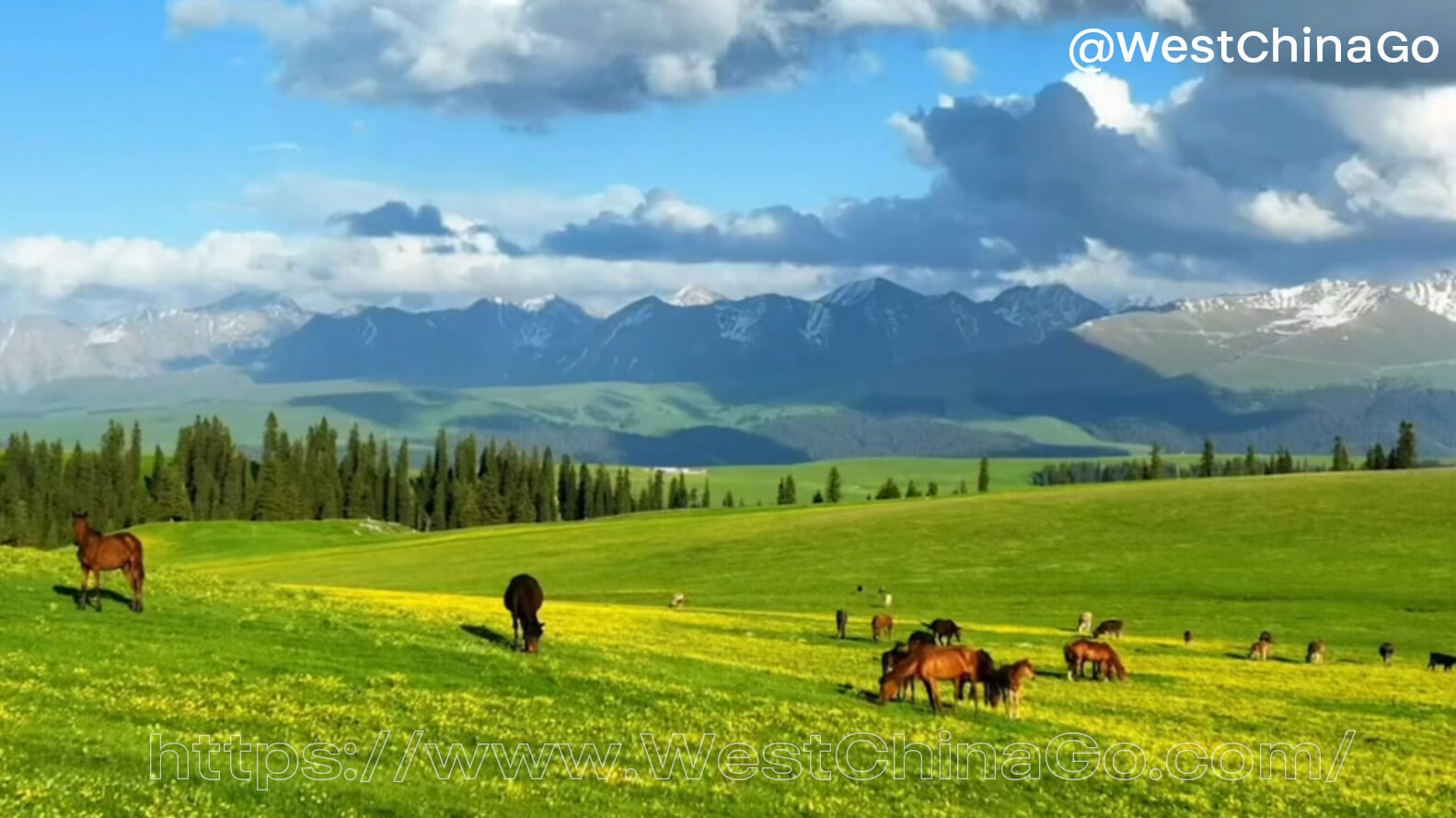 Xinjiang Karajun Grassland